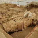 하비투스(Habitus) 이미지