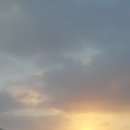 일출농장 이미지