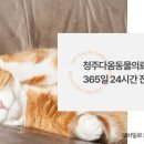 정강동물병원 이미지