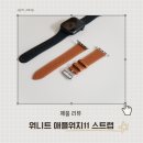 애플유통 | 애플워치11 46mm 스트랩 추천 워니트 가죽스트랩 후기