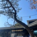 종자리로1 이미지