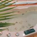 바이포유 이미지