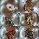 인동초의 집 | [경남 양산] 약식동원 다루야 평산책방 통도사 맛집