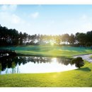 태광교통 이미지