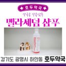 호두약국 이미지
