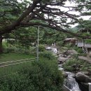 제213차정기산행/원주,백운산 산행및 백운계곡(물놀이)야유회 이미지