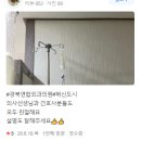 경북연합외과