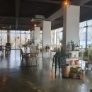 빠빠에피 이미지