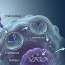 동행헬스케어 이미지
