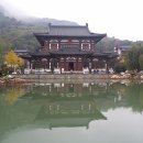 시안 이미지