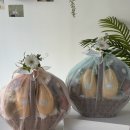 위드에이치2 이미지