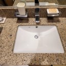 포레스트리솜 이미지