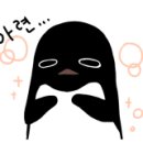 블라썸캣 이미지