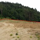 마당발공인중개사사무소 이미지