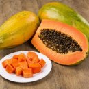 PAPAYA 이미지