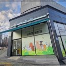 반려견 | 수원강아지분양 반려견 후기