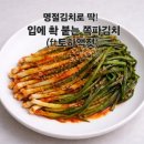 (12/18) 파김치 담그기 네이버블로그