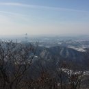 별립산농장 티스토리