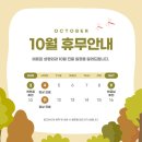 비트윈성형외과