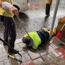 단양읍사무소 이미지