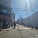 디그니티라인