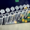 (주)대명사이언스 이미지