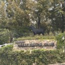 덕소 승마클럽 | 덕소승마클럽 첫 승마체험 후기