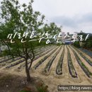 안성면010 이미지