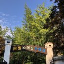 수목원마트편의점 이미지