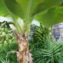 반디공원 이미지