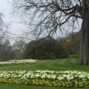 런던 여행8 - 하이드파크 공원을 보고는 영국왕실의 웨스트민스터 사원에 가다! 이미지