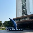 블루오션리조트홀리데이파크 | 태국 후아힌 홀리데이인 리조트 바나나바 워터파크 방문 후기 셔틀버스 인피니트풀