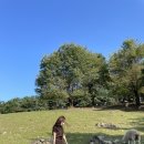 소드리목장 | [강원/춘천] 해피초원목장:: 아이들이 좋아하는 동물원 (가격, 동물 종류, 주차)