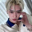 아로마포레스트 이미지
