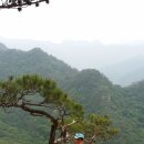 사과향기 이미지