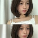 르무드헤어