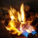 정남진 민박 이미지