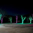 태화강 국가정원 코스 이미지