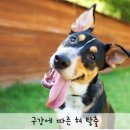 메롱