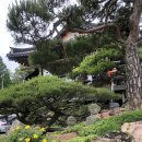 홍종흔베이커리 이미지