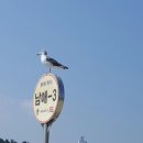 81수산