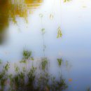 효원공원 이미지