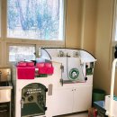 도그다움 이미지