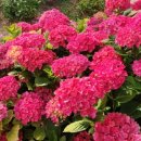 더뷰 민박 이미지