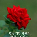 행복한하루 이미지