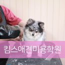 예가애견 이미지