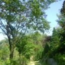 대연농장 이미지