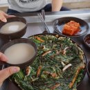 주막집 Daum카페