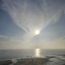 파로스펜션 | 대천해수욕장 숙소 추천 '한화리조트 대천파로스' 스위트 시네마 호텔형