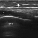 세종시365으랏차한의원 이미지